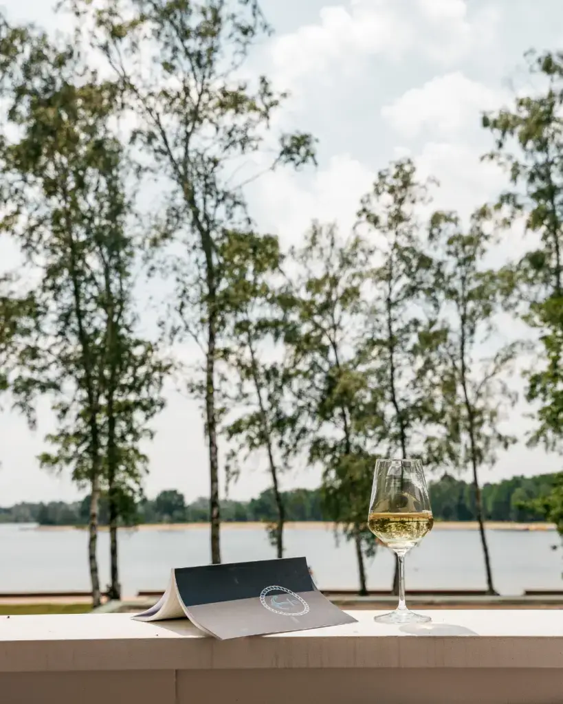 Weinglas mit Weißwein und aufgeklapptes Magazin auf Balkon mit Blick auf den Tankumsee und Bäume